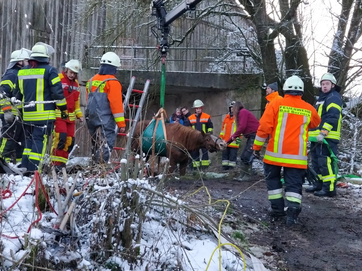 Pferd in Sickergrube gestürzt